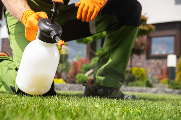 Best Affordable Pest Control Services  in Parkersburg, WV