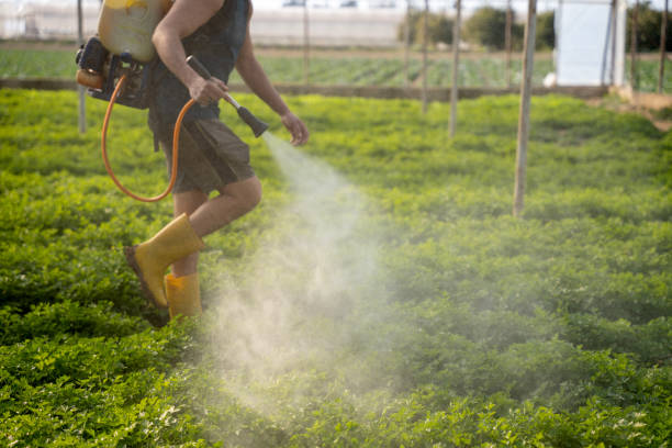 Best Pest Prevention Services  in Parkersburg, WV