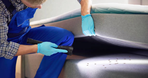 Best Cockroach Control Services  in Parkersburg, WV