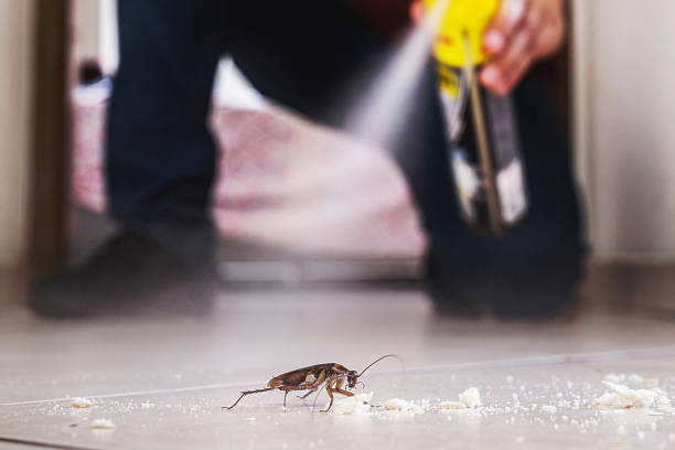 Best Mosquito Control Services  in Parkersburg, WV