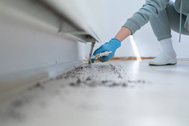 Best Pest Control Near Me  in Parkersburg, WV